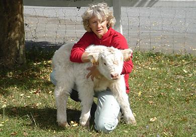 http://forum.tricofolk.info/forum/img/gallery/23_1174636029.jpg